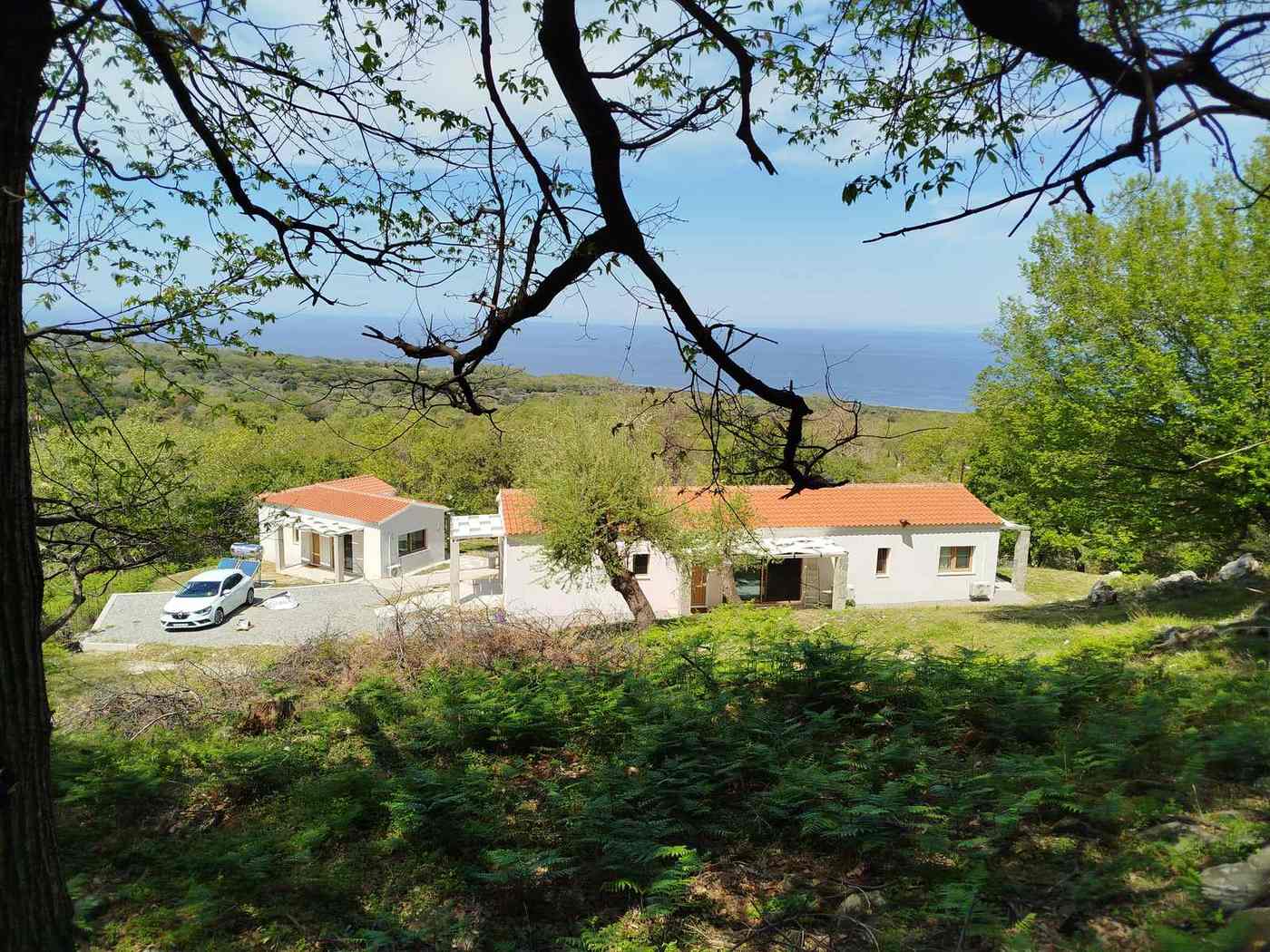 Forest Villa – aerial1