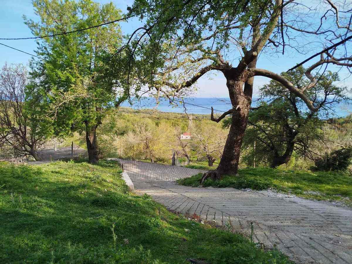 Forest Villa – path seaview
