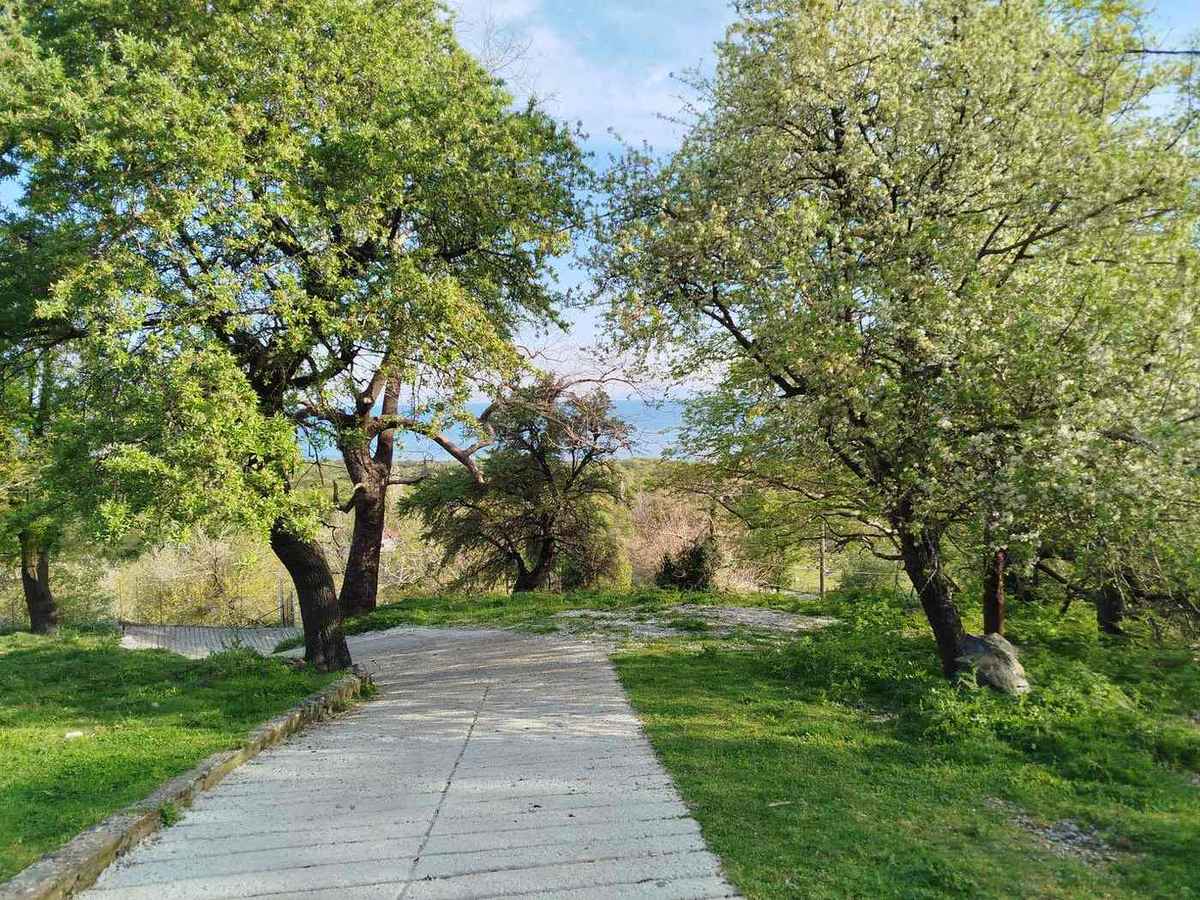 Forest Villa – path spring