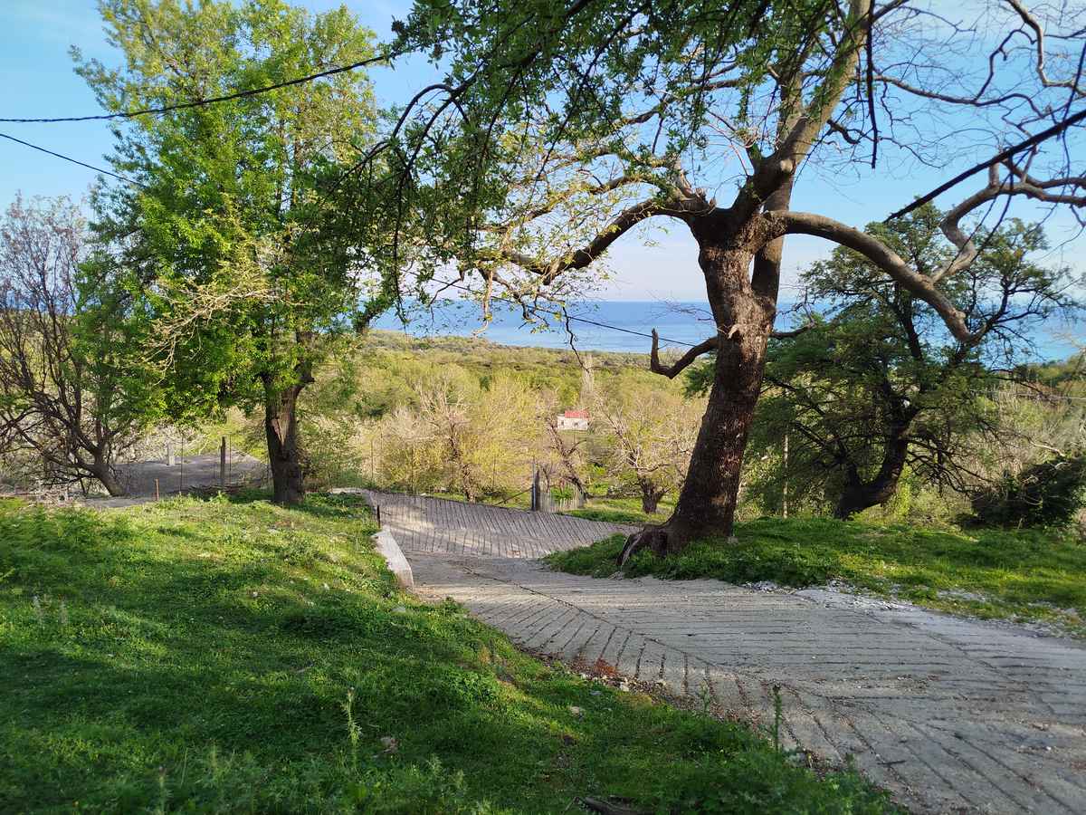 Sea Villa – path seaview