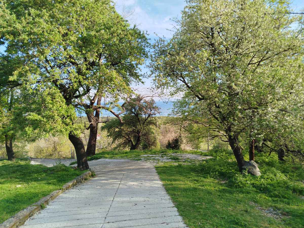 Sea Villa – path spring