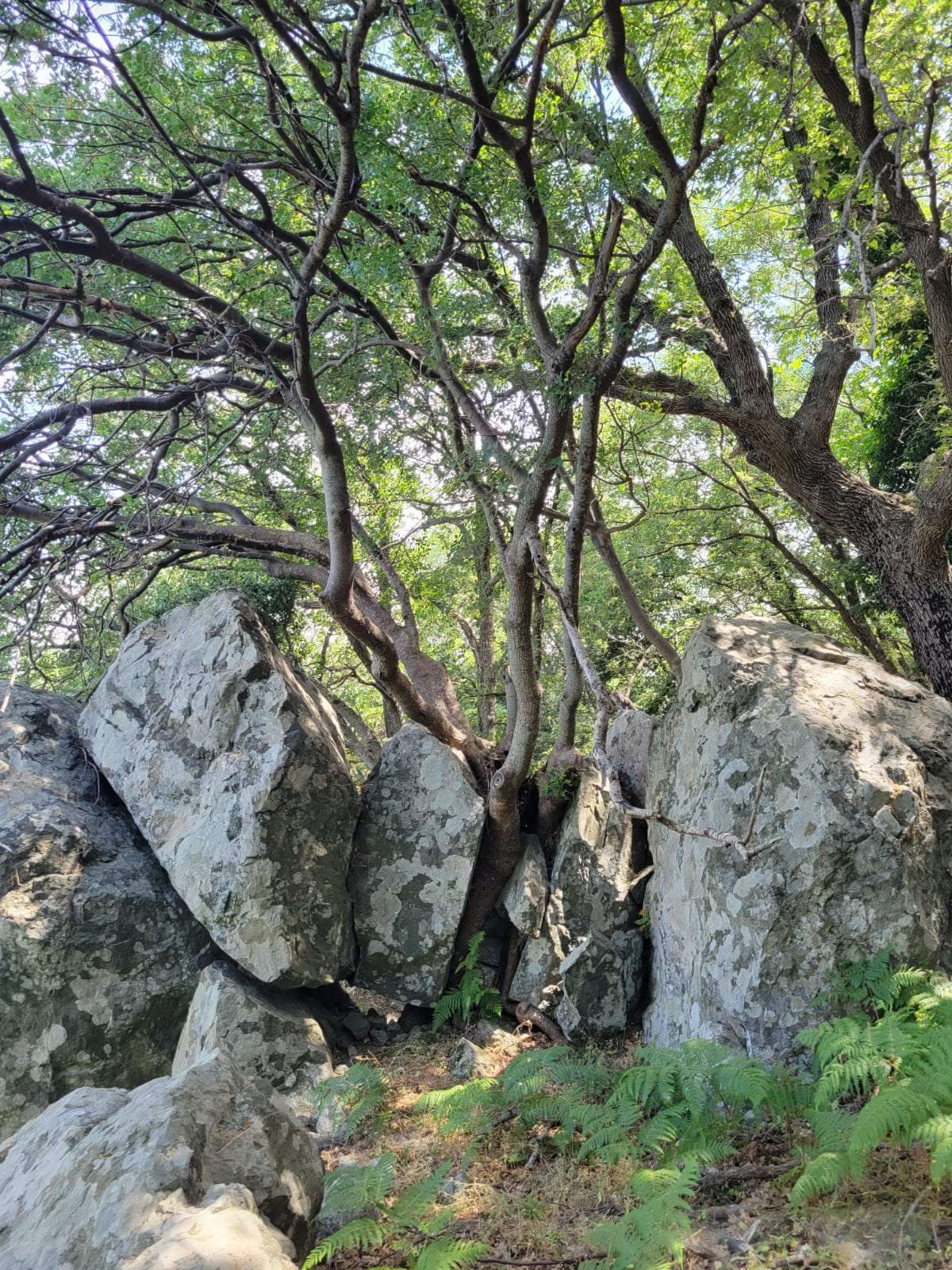 Samothraki